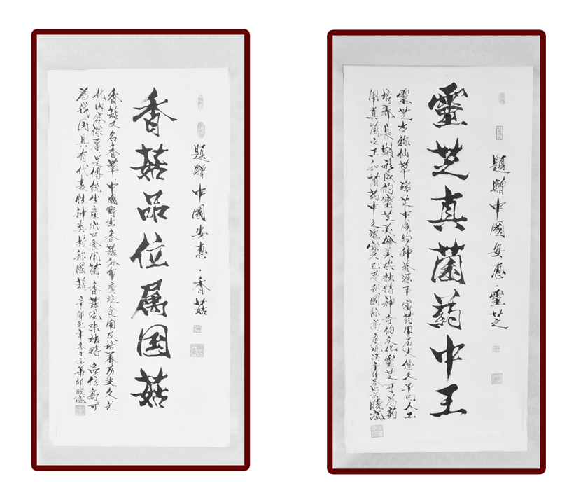 專(zhuān)題報(bào)道