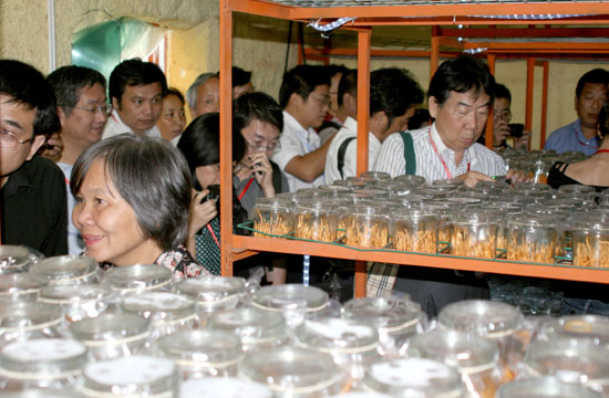 圖片關(guān)鍵詞 圖片關(guān)鍵詞