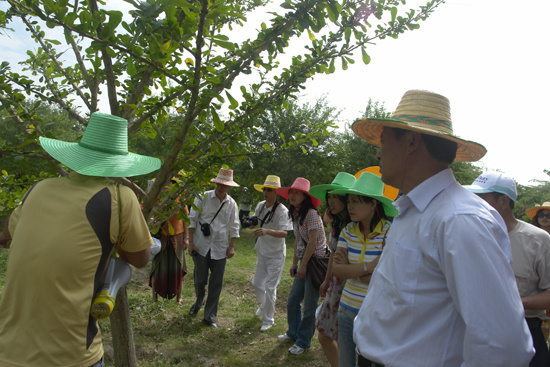 圖片關(guān)鍵詞 圖片關(guān)鍵詞