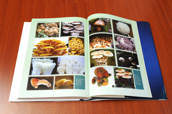 圖片關(guān)鍵詞 圖片關(guān)鍵詞