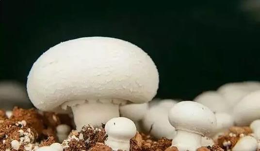 圖片關(guān)鍵詞 圖片關(guān)鍵詞