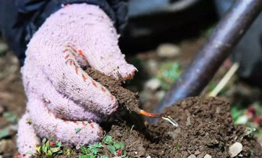 圖片關鍵詞 圖片關鍵詞