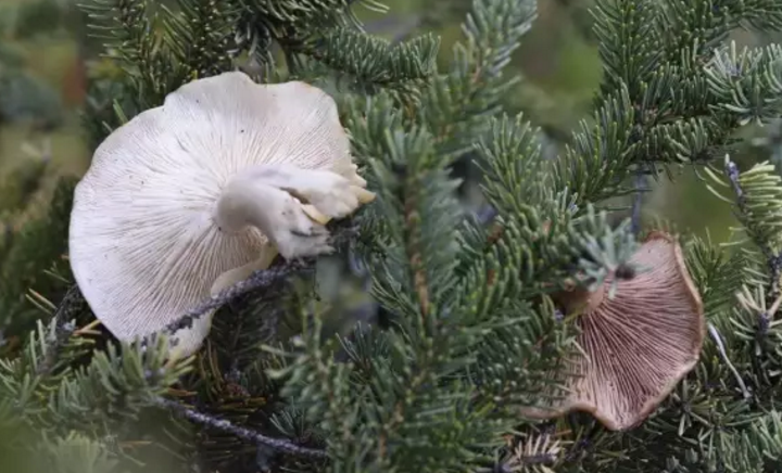 圖片關(guān)鍵詞 圖片關(guān)鍵詞