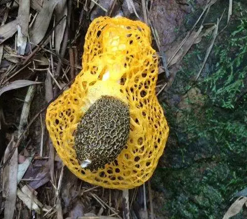 圖片關鍵詞 圖片關鍵詞