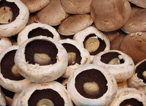 圖片關鍵詞 http://www.denhang.cn/ewebeditor/uploadfile/20170914091257506001.png