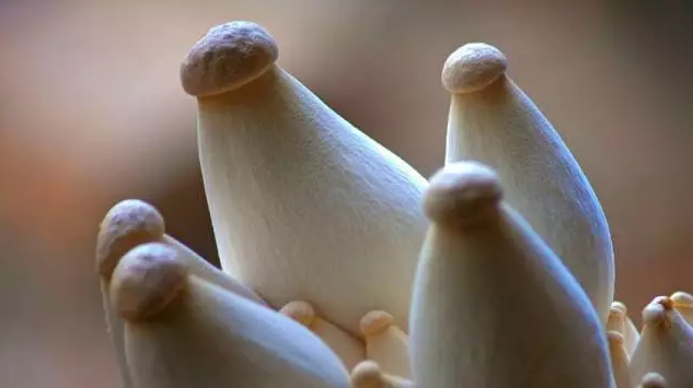 圖片關鍵詞 http://www.denhang.cn/ewebeditor/uploadfile/20170914091357269001.png