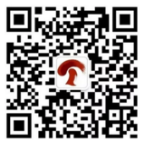 圖片關鍵詞 圖片關鍵詞