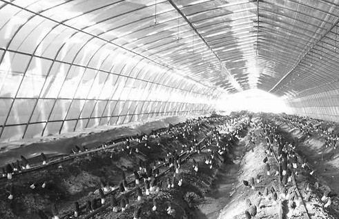 圖片關鍵詞 圖片關鍵詞