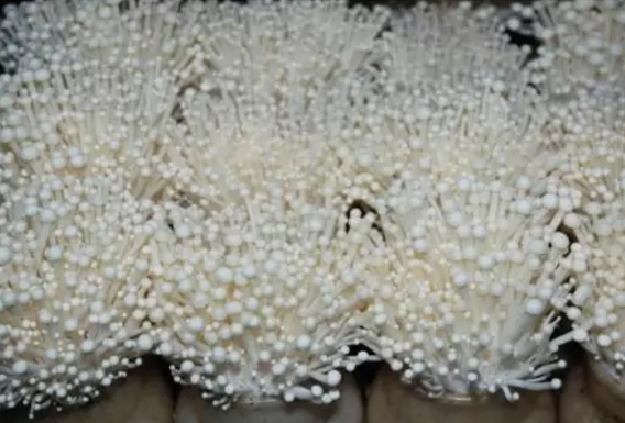 圖片關鍵詞 圖片關鍵詞