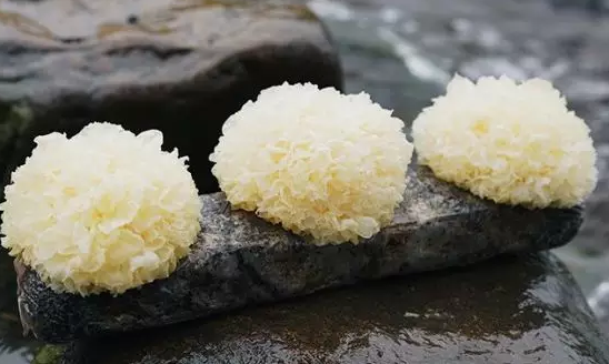 圖片關鍵詞 http://www.denhang.cn/ewebeditor/uploadfile/20180328092751720001.png