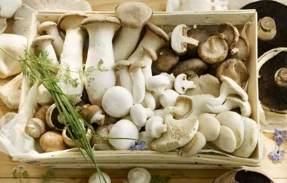 圖片關(guān)鍵詞 圖片關(guān)鍵詞