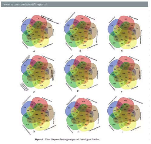 圖片關鍵詞 圖片關鍵詞