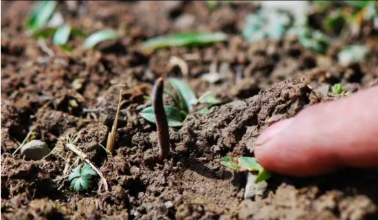 圖片關鍵詞 http://www.denhang.cn/ewebeditor/uploadfile/20180814102741148001.png