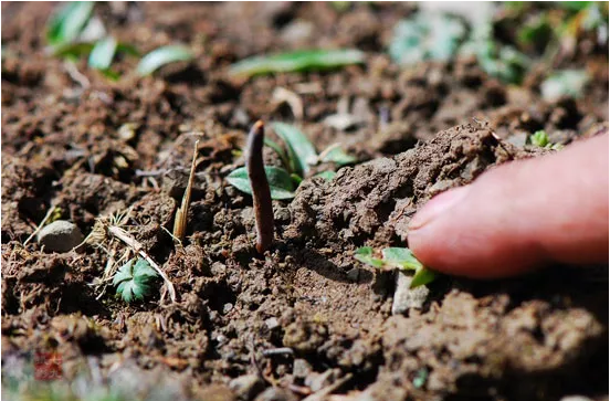 圖片關鍵詞 http://www.denhang.cn/ewebeditor/uploadfile/20180921101313325001.png