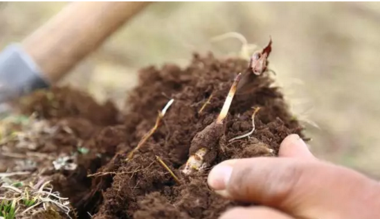 圖片關鍵詞 http://www.denhang.cn/ewebeditor/uploadfile/20180921101228689001.png