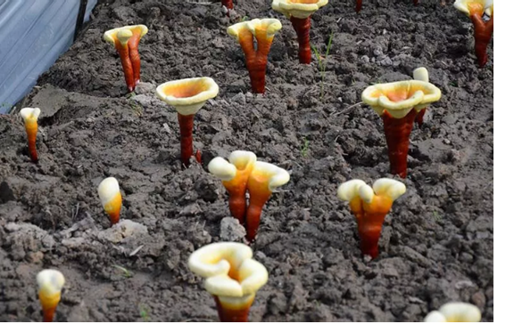 圖片關鍵詞 圖片關鍵詞