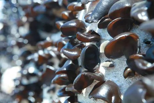 圖片關(guān)鍵詞 圖片關(guān)鍵詞