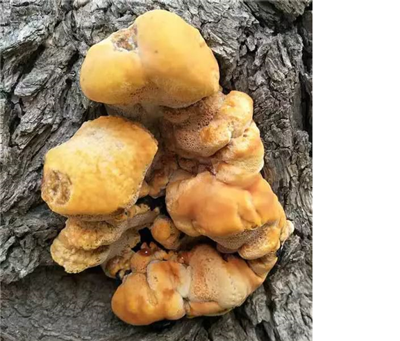 圖片關鍵詞 圖片關鍵詞