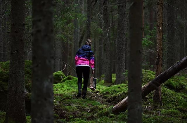 圖片關鍵詞 國家蘑菇地理:中國哪里的蘑菇最好吃?