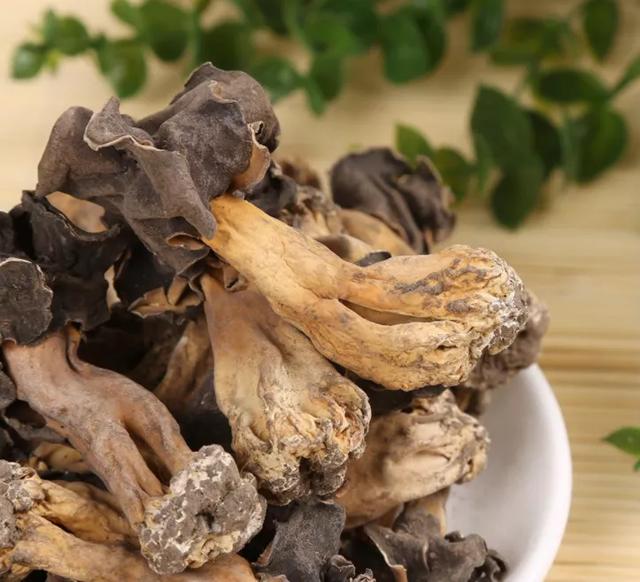 圖片關鍵詞 國家蘑菇地理:中國哪里的蘑菇最好吃?