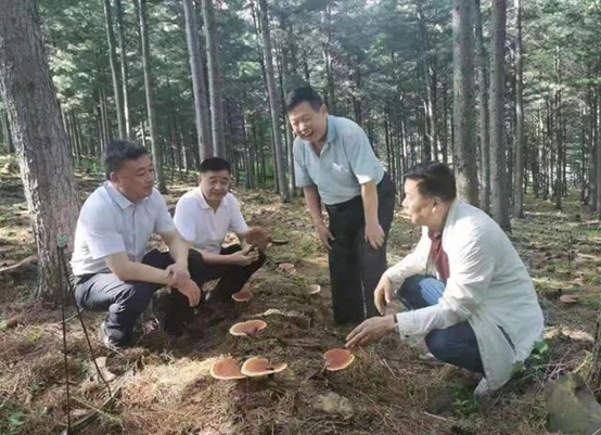 圖片關鍵詞 圖片關鍵詞