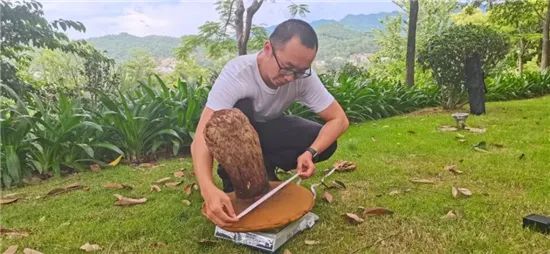 圖片關鍵詞 圖片關鍵詞