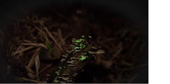 圖片關鍵詞 圖片關鍵詞