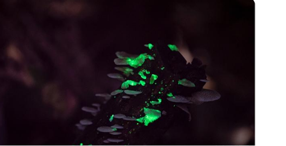 圖片關鍵詞 圖片關鍵詞