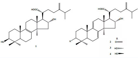 圖片關鍵詞 圖片關鍵詞