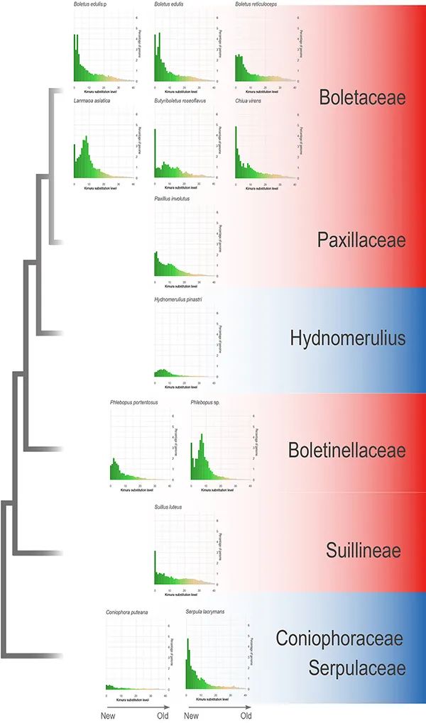 圖片關鍵詞 圖片