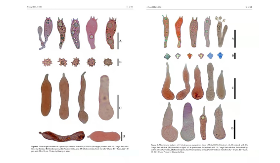 圖片關鍵詞 https://mmbiz.qpic.cn/mmbiz_png/OnRbAd1HL46g40TAzJF5YWtMuUz3YPkkhOjglcWB1BVRlPNgvQbWSoibMnBvAucw6MOjmqfCKnBowgQQcpsNrFA/640?wx_fmt=png