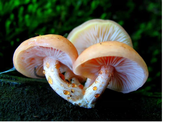 圖片關鍵詞 圖片關鍵詞