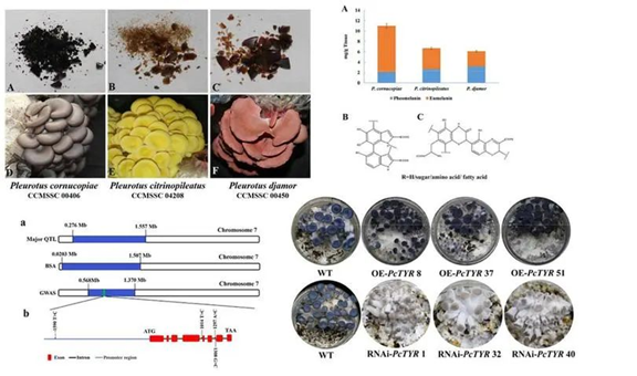 圖片關鍵詞 圖片關鍵詞