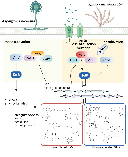圖片關鍵詞 https://mmbiz.qpic.cn/mmbiz_png/OnRbAd1HL46T9TZ6n8lIsKS3fkw0eXia62oZjNgtjiamN3bnVXcMrC2aSVVwibzUccUG9FoXmcl0QDWQl5Pgy5RbA/640?wx_fmt=png
