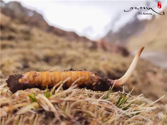 圖片關鍵詞 圖片