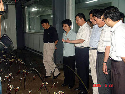 圖片關鍵詞 圖片關鍵詞