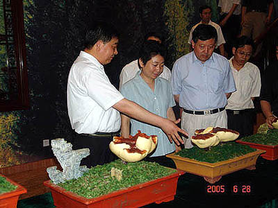 圖片關鍵詞 圖片關鍵詞